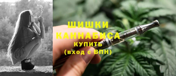 ALPHA PVP Осинники
