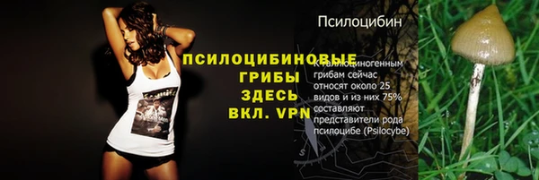 ALPHA PVP Осинники