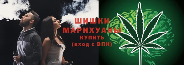 ALPHA PVP Осинники