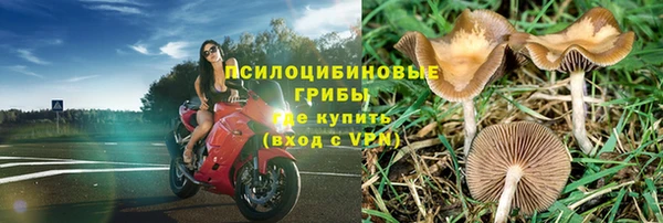 прущие крисы Осташков