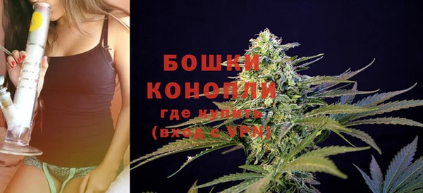 ALPHA PVP Осинники