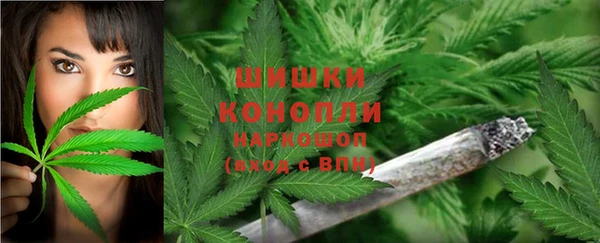 Альфа ПВП Остров